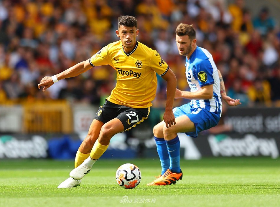 坚定地表示 坚定地表示